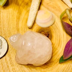 Rose Quartz Turtle. ✨💕🐢